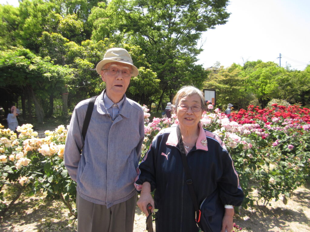 [明神DS] 春日池公園へ🌹 [素晴らしいバラ]
