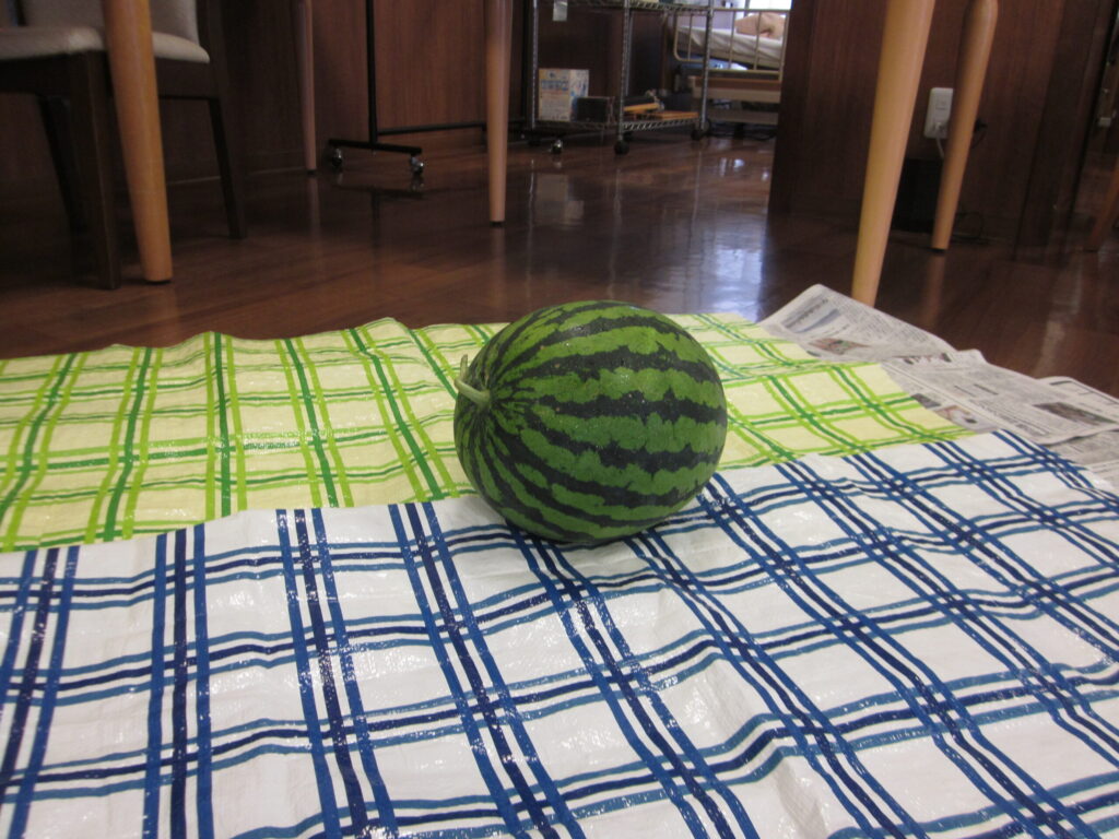 [明神デイ] 🍉スイカとの闘い🍉 [まさに死闘]